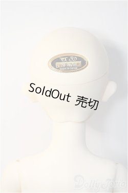 画像7: SD/スタンダードモデル：ニコ Y-24-11-27-292-YD-ZY