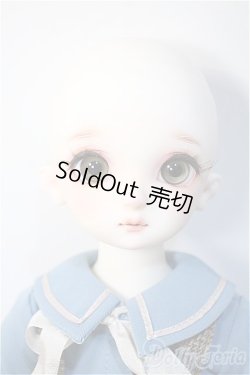 画像6: SDM/コーディネートモデル:F-60 Y-24-11-27-294-TN-ZY