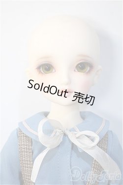 画像6: SDM/コーディネートモデルF-45 Y-24-11-27-295-TN-ZY