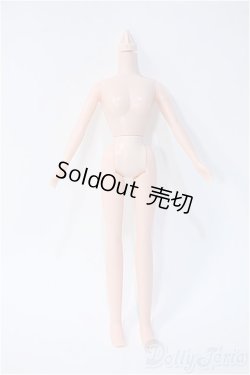 画像1: 1/6サイズ/女性ボディ Y-25-06-04-264-NY-ZY