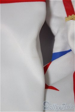 画像7: DDS/スターピースメモリーズ（SS~M胸用）/0 A-25-11-12-387-YD-ZA