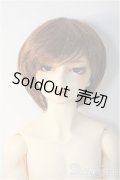 SDGｒBoy/ワンオフ：28番ヘッド(遠夜) Y-25-02-12-299-YD-ZY
