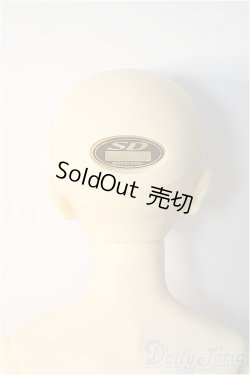 画像7: SDGｒBoy/ワンオフ：28番ヘッド(遠夜) Y-25-02-12-299-YD-ZY