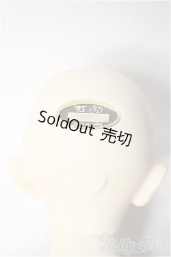 画像4: SD17男の子/レイズナー〜The Shadow of Captain II〜 Y-25-02-12-178-YD-ZY