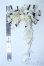 画像3: MSD/OF:FlowerB製カチューシャ Y-25-03-26-356-YD-ZY (3)