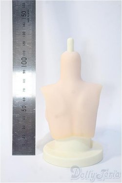 画像2: MDD/ラジカル様 MDDL胸 Y-25-02-12-189-YD-ZY
