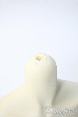 画像4: SDGr/トルソーベース（男の子） Y-25-02-12-246-YD-ZY