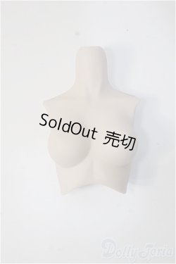 画像1: DD/上半身パーツ・M胸 Y-25-02-26-184-YD-ZY