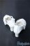 画像2: SD/OF:靴 Y-25-03-05-271-YD-ZY (2)