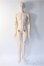 画像2: Ringdoll/Ashford 3.0 Y-25-03-12-002-YD-ZY (2)