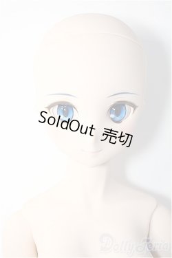 画像2: DD/シエル　月姫 -A piece of blue glass moon- Y-25-03-12-025-YD-ZY