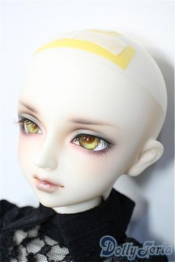 画像4: SDM/フルチョイス：F-35 Y-25-03-19-074-YD-ZY