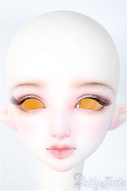 画像2: Angell Studio/Claudia Fullset Y-25-03-19-082-YD-ZY