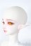 画像4: Angell Studio/Claudia Fullset Y-25-03-19-082-YD-ZY