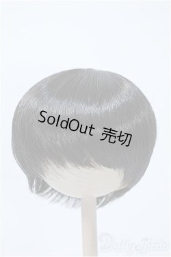 画像1: 9-10inch/ウィッグ Y-25-03-19-148-YD-ZY