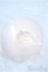 画像4: PUYOODOLL/Kumako EGG-01ヘッド/海外製キャストドール Y-25-03-26-078-YD-ZY (4)