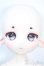 画像2: Sprouting Dragon/Big Zilu Y-25-03-26-206-YD-ZY (2)