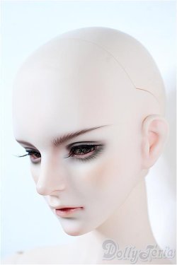 画像4: RINGDOLL/Decree Dog (D.D) Y-25-09-10-235-YD-ZY