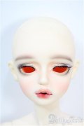 FOVEO/Delma Y-25-03-26-330-YD-ZY