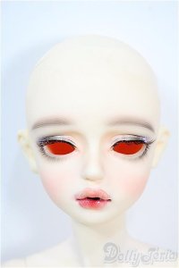 FOVEO/Delma Y-25-03-26-330-YD-ZY