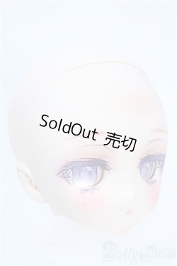 画像2: DD/DDH-27カスタムヘッド S-25-10-26-312-YD-ZS