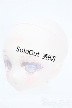 画像3: DD/DDH-27カスタムヘッド S-25-10-26-312-YD-ZS