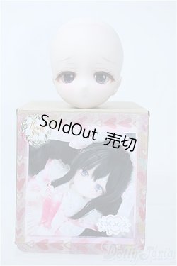 画像4: DD/カスタムヘッド(造形村173) Y-25-11-26-171-YD-ZY