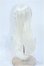 画像3: 7-8inch/ウィッグ Y-25-04-02-062-YD-ZY (3)