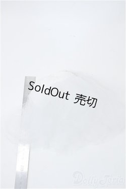 画像2: MSD&SDM/OF：パニエ Y-25-04-02-122-YD-ZY