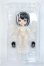 画像2: 次元界TOY NAGI/留学シーズン 鳶猫 Y-25-04-09-029-YD-ZY (2)