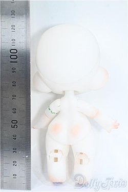 画像5: 子犬わたあめ/白肌 Y-25-04-09-124-YD-ZY