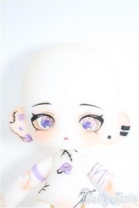 子犬わたあめ/白肌 Y-25-04-09-125-YD-ZY