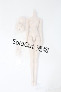 VOLKS/1/6excellent Base Modelセット Y-25-04-16-090-YD-ZY
