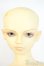 画像2: SD13BOY/橘四郎 Y-25-04-16-002-YD-ZY (2)