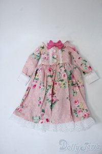 SD/OF:ワンピース Y-25-04-16-043-YD-ZY