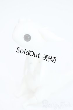 画像3: Dream Valley/Gary Y-25-08-13-277-YD-ZY