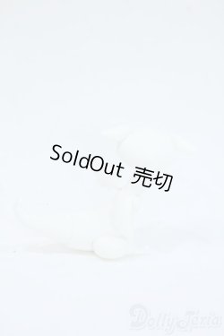 画像5: Dream Valley/Gary Y-25-08-13-277-YD-ZY