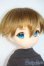画像2: PARABOX/乙姫ドール Y-25-04-23-001-YD-ZY (2)