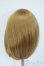 画像2: 9-10inch/ウィッグ Y-25-04-23-110-YD-ZY (2)
