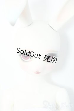 画像6: DEAR MINE/SAERA ~Opera~ Y-25-04-23-208-YD-ZY