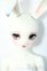 画像6: DEAR MINE/SAERA ~Opera~ Y-25-04-23-208-YD-ZY