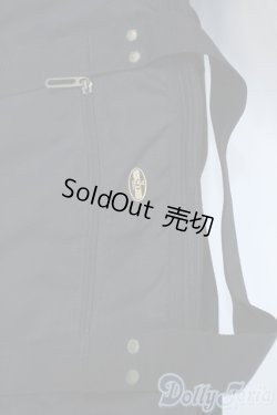 画像3: SD/キャリングケース(ボークス製) Y-25-04-23-225-YD-ZY