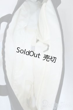 画像4: SD/キャリングケース(ボークス製) Y-25-04-23-225-YD-ZY