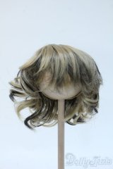 9-10inch/ウィッグ Y-25-04-23-237-YD-ZY