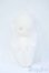 画像2: TinyFox Tinyhuxシリーズ Hux01(獣ヘッド)＋素体セット 1/6 Y-25-04-30-075-KD-ZY (2)