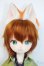 画像1: PUYOO DOLL/KUMAKO:Zootopia NICK Y-25-04-30-181-YD-ZY (1)