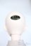 画像8: LOONG SOUL DOLL/Jiao Mu Jiao・Spring Y-25-05-07-001-YD-ZY