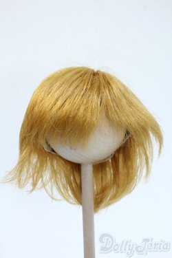 画像1: 9-10inch/ウィッグ Y-25-05-07-230-YD-ZY