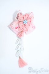 SD/OF：ヘアクリップ Y-25-05-07-258-YD-ZY