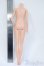 画像2: Barbie/ボディのみ Y-25-05-07-139-YD-ZY (2)